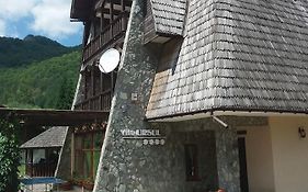 Vila Ursul